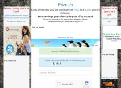 prizelife.ru