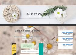 kineret.mybitcoin.xyz