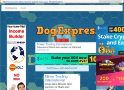 dogexpress.xyz